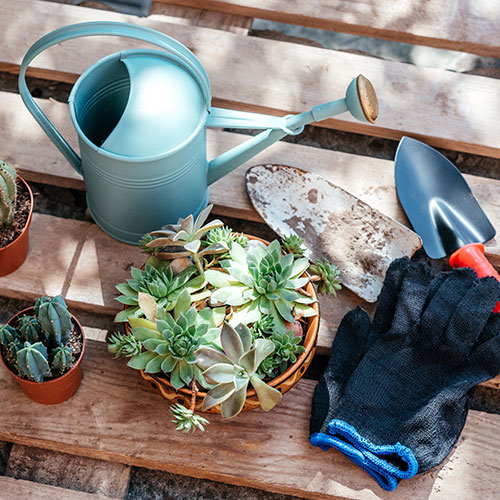 Garden supplies