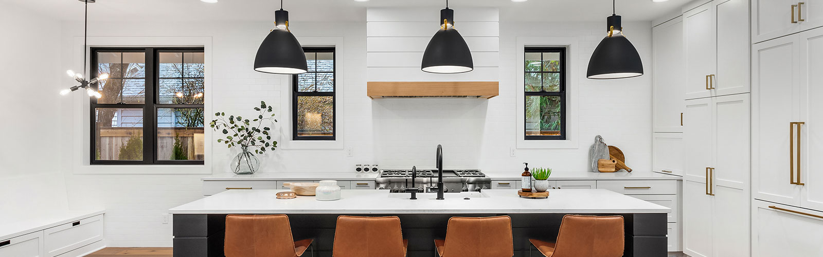 Modern kitchen with cabinets